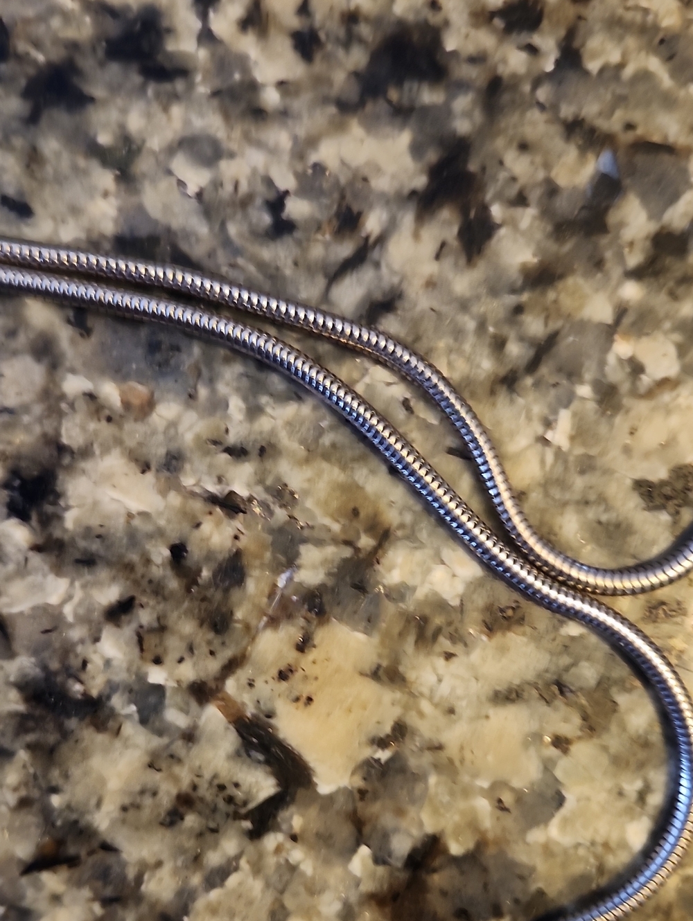 Layered Open Circle Link Necklace - Silver Tone - Picture 10 of 16